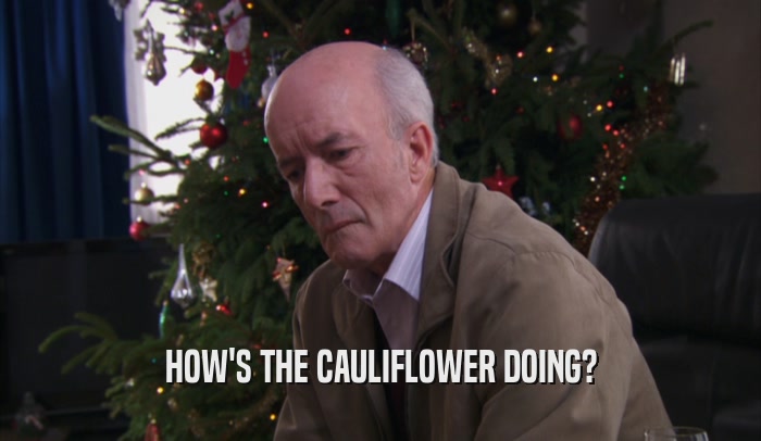 HOW'S THE CAULIFLOWER DOING?  