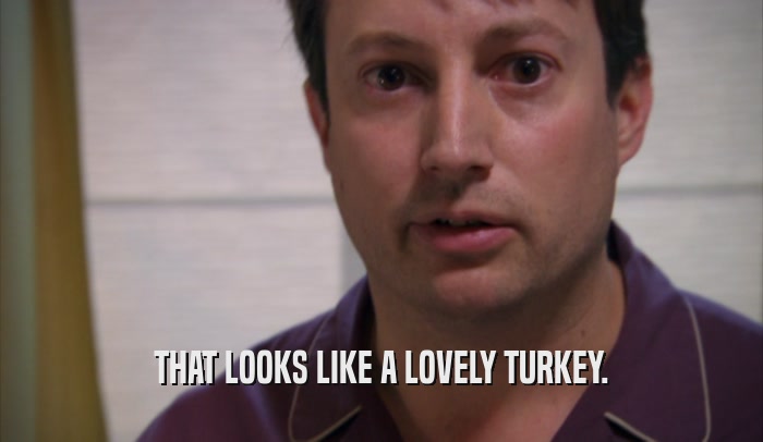 THAT LOOKS LIKE A LOVELY TURKEY.  