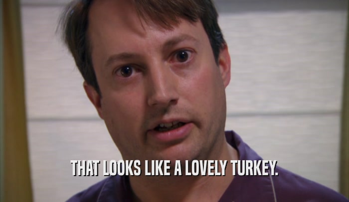 THAT LOOKS LIKE A LOVELY TURKEY.  