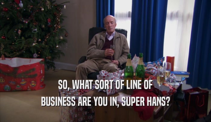 SO, WHAT SORT OF LINE OF BUSINESS ARE YOU IN, SUPER HANS? 