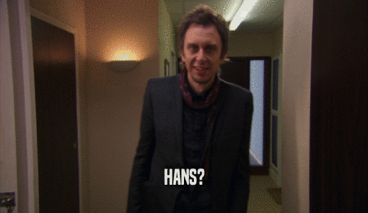 HANS?  