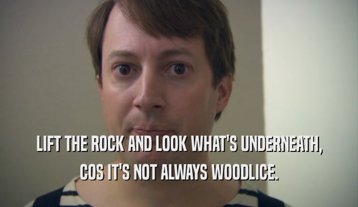 LIFT THE ROCK AND LOOK WHAT'S UNDERNEATH, COS IT'S NOT ALWAYS WOODLICE. 
