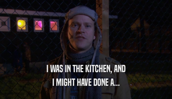 I WAS IN THE KITCHEN, AND I MIGHT HAVE DONE A... 