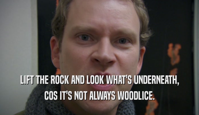 LIFT THE ROCK AND LOOK WHAT'S UNDERNEATH, COS IT'S NOT ALWAYS WOODLICE. 
