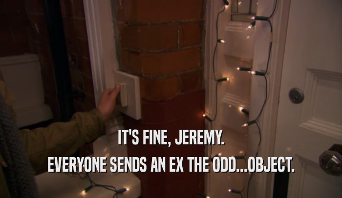 IT'S FINE, JEREMY. EVERYONE SENDS AN EX THE ODD...OBJECT. 