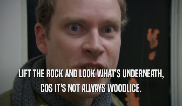 LIFT THE ROCK AND LOOK WHAT'S UNDERNEATH, COS IT'S NOT ALWAYS WOODLICE. 