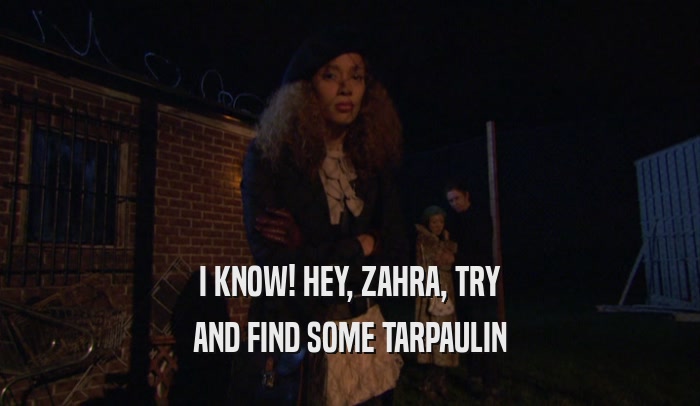 I KNOW! HEY, ZAHRA, TRY AND FIND SOME TARPAULIN 