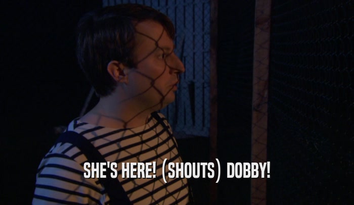 SHE'S HERE! (SHOUTS) DOBBY!  