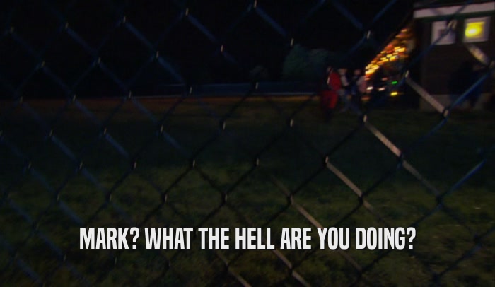 MARK? WHAT THE HELL ARE YOU DOING?  