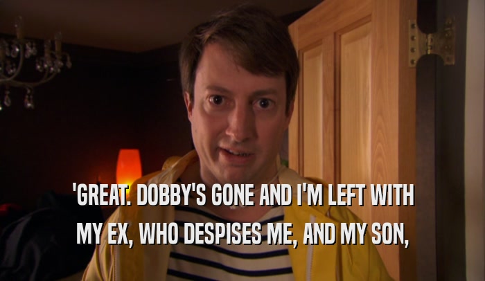 'GREAT. DOBBY'S GONE AND I'M LEFT WITH MY EX, WHO DESPISES ME, AND MY SON, 