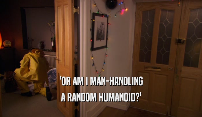 'OR AM I MAN-HANDLING
 A RANDOM HUMANOID?'
 
