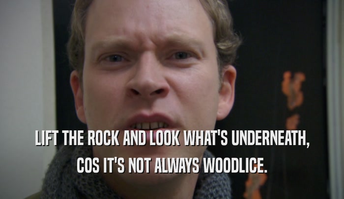 LIFT THE ROCK AND LOOK WHAT'S UNDERNEATH, COS IT'S NOT ALWAYS WOODLICE. 