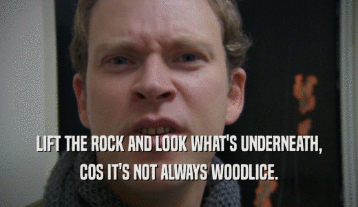 LIFT THE ROCK AND LOOK WHAT'S UNDERNEATH, COS IT'S NOT ALWAYS WOODLICE. 