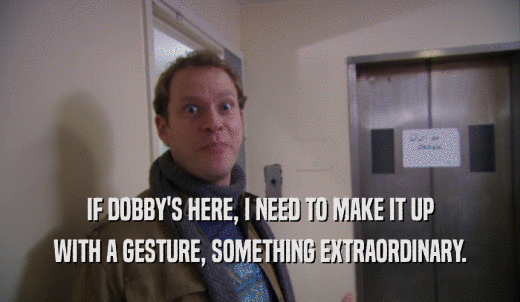 IF DOBBY'S HERE, I NEED TO MAKE IT UP WITH A GESTURE, SOMETHING EXTRAORDINARY. 