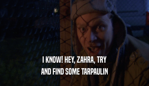 I KNOW! HEY, ZAHRA, TRY AND FIND SOME TARPAULIN 