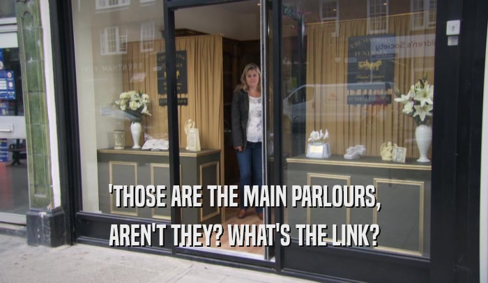 'THOSE ARE THE MAIN PARLOURS, AREN'T THEY? WHAT'S THE LINK? 