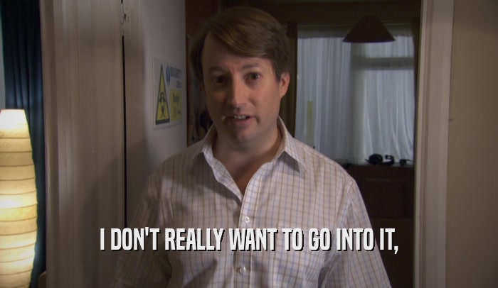 I DON'T REALLY WANT TO GO INTO IT,  