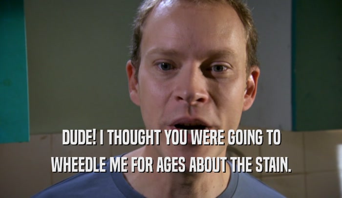 DUDE! I THOUGHT YOU WERE GOING TO WHEEDLE ME FOR AGES ABOUT THE STAIN. 