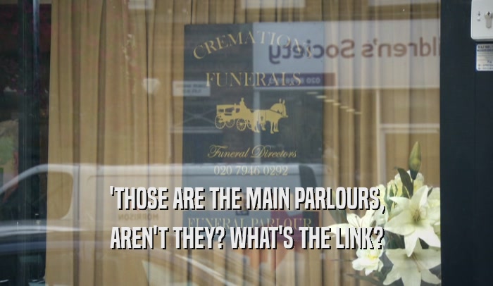 'THOSE ARE THE MAIN PARLOURS, AREN'T THEY? WHAT'S THE LINK? 