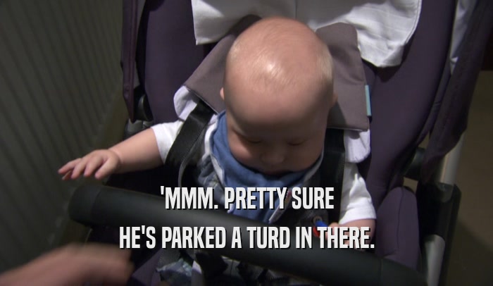 'MMM. PRETTY SURE HE'S PARKED A TURD IN THERE. 