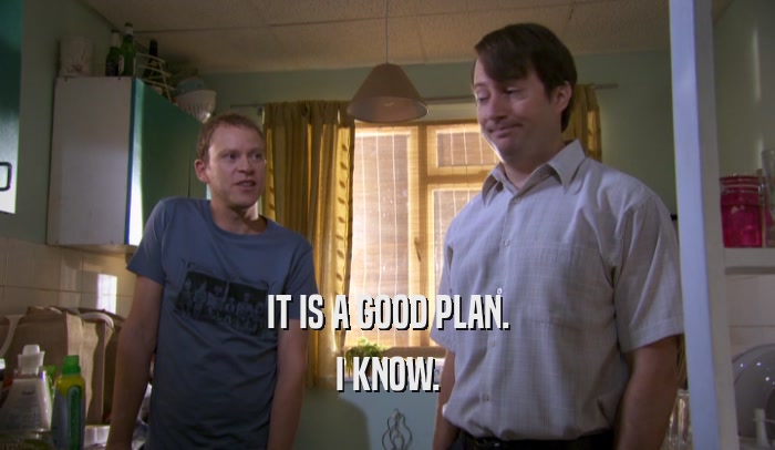 IT IS A GOOD PLAN. I KNOW. 