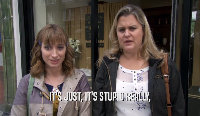 IT'S JUST, IT'S STUPID REALLY,  