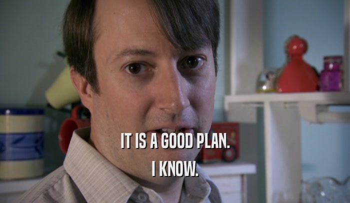 IT IS A GOOD PLAN. I KNOW. 