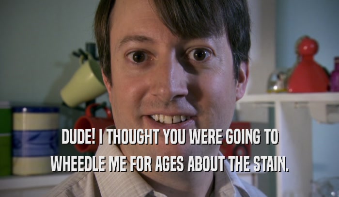 DUDE! I THOUGHT YOU WERE GOING TO WHEEDLE ME FOR AGES ABOUT THE STAIN. 