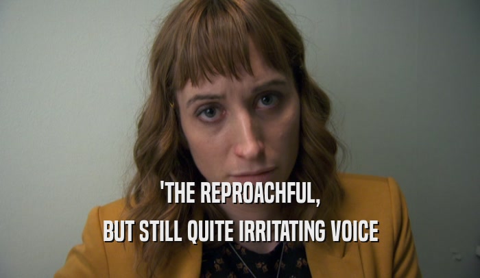 'THE REPROACHFUL, BUT STILL QUITE IRRITATING VOICE 