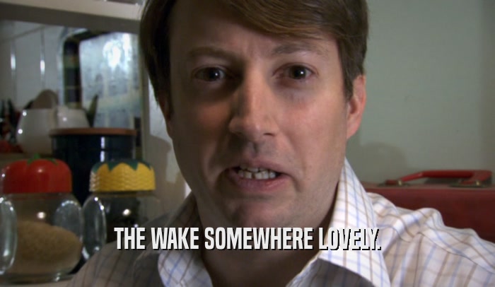 THE WAKE SOMEWHERE LOVELY.  
