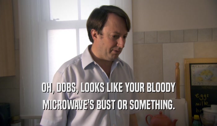 OH, DOBS, LOOKS LIKE YOUR BLOODY
 MICROWAVE'S BUST OR SOMETHING.
 