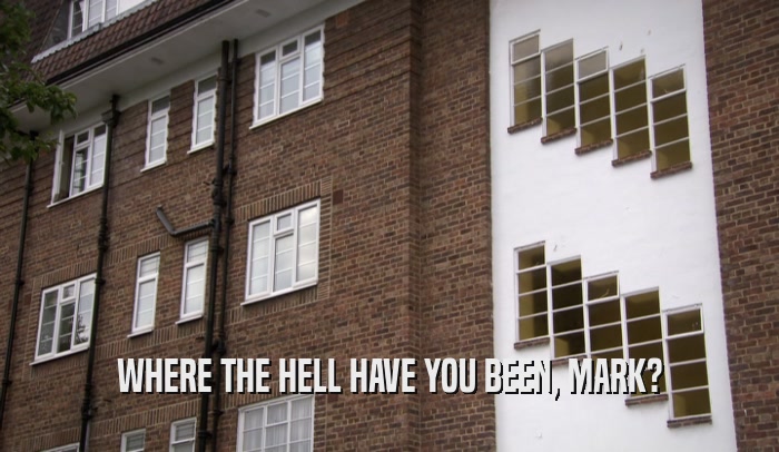 WHERE THE HELL HAVE YOU BEEN, MARK?  
