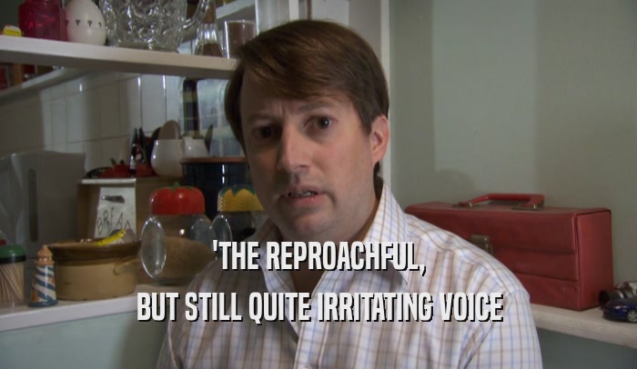 'THE REPROACHFUL, BUT STILL QUITE IRRITATING VOICE 