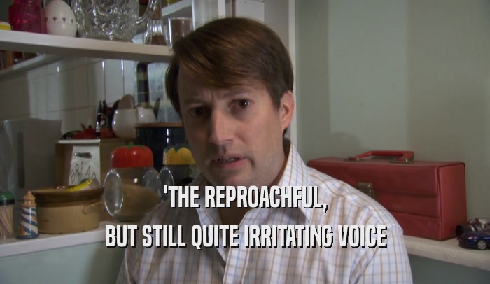 'THE REPROACHFUL, BUT STILL QUITE IRRITATING VOICE 