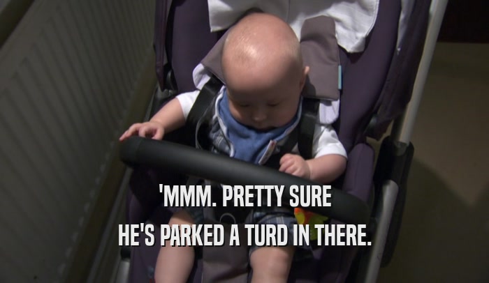 'MMM. PRETTY SURE HE'S PARKED A TURD IN THERE. 