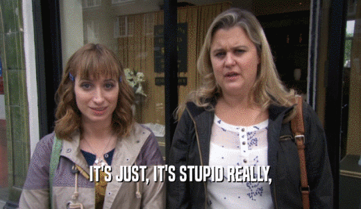 IT'S JUST, IT'S STUPID REALLY,  