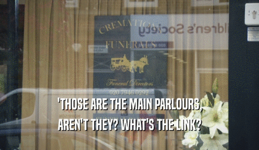 'THOSE ARE THE MAIN PARLOURS, AREN'T THEY? WHAT'S THE LINK? 