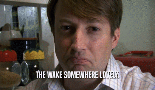 THE WAKE SOMEWHERE LOVELY.  