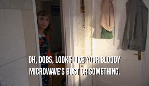 OH, DOBS, LOOKS LIKE YOUR BLOODY MICROWAVE'S BUST OR SOMETHING. 