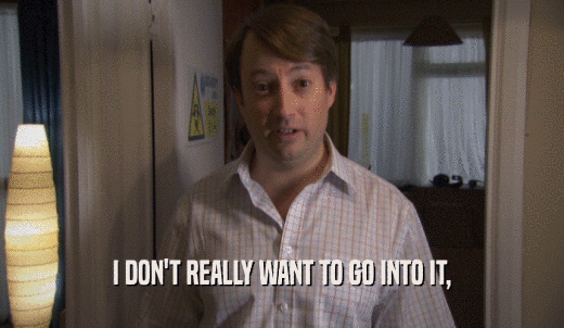 I DON'T REALLY WANT TO GO INTO IT,  