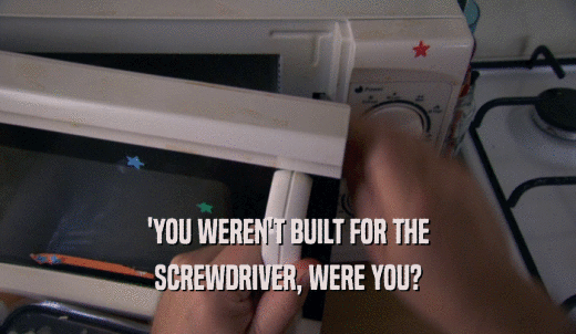 'YOU WEREN'T BUILT FOR THE SCREWDRIVER, WERE YOU? 