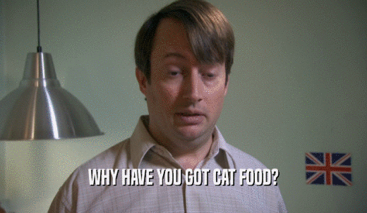 WHY HAVE YOU GOT CAT FOOD?  
