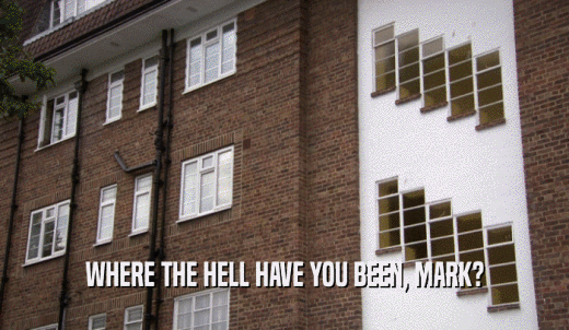 WHERE THE HELL HAVE YOU BEEN, MARK?  