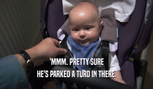 'MMM. PRETTY SURE HE'S PARKED A TURD IN THERE. 