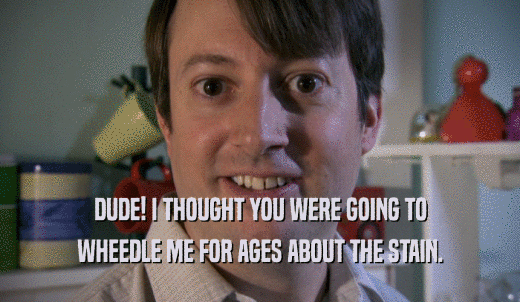 DUDE! I THOUGHT YOU WERE GOING TO WHEEDLE ME FOR AGES ABOUT THE STAIN. 