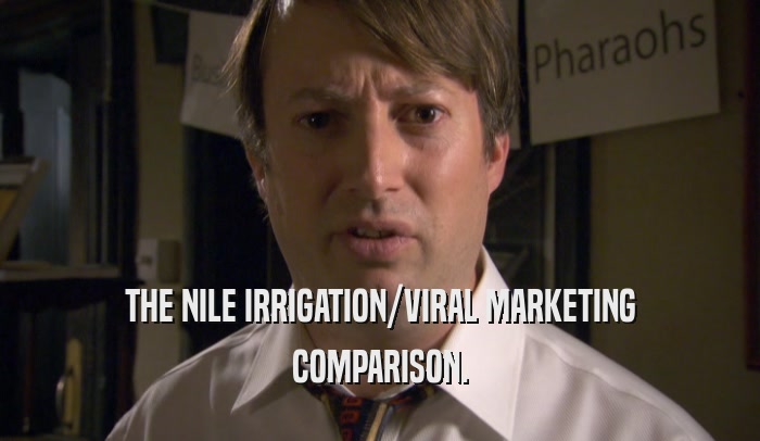 THE NILE IRRIGATION/VIRAL MARKETING COMPARISON. 