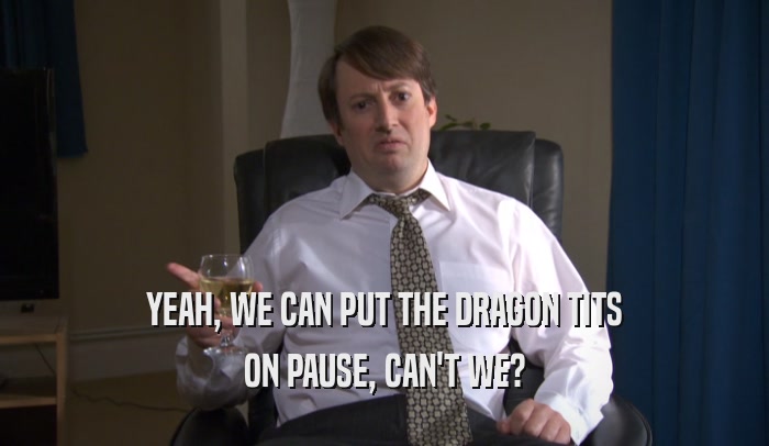 YEAH, WE CAN PUT THE DRAGON TITS ON PAUSE, CAN'T WE? 