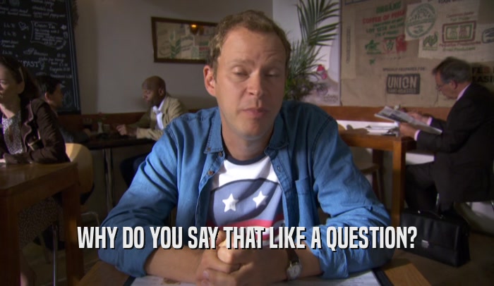 WHY DO YOU SAY THAT LIKE A QUESTION?  