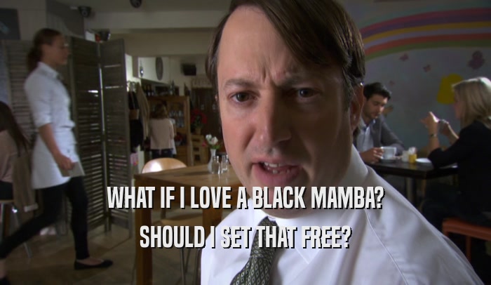 WHAT IF I LOVE A BLACK MAMBA? SHOULD I SET THAT FREE? 