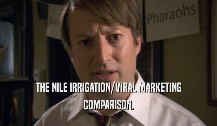 THE NILE IRRIGATION/VIRAL MARKETING COMPARISON. 